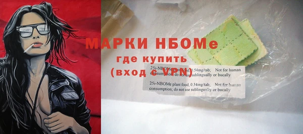 стаф Алзамай
