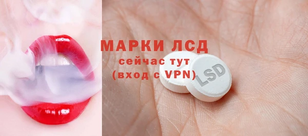 стаф Алзамай