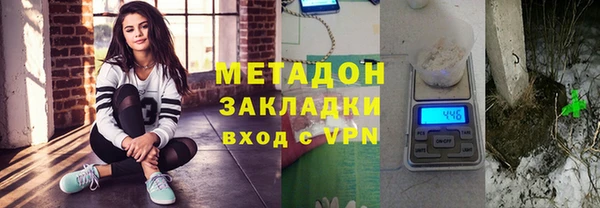 стаф Алзамай