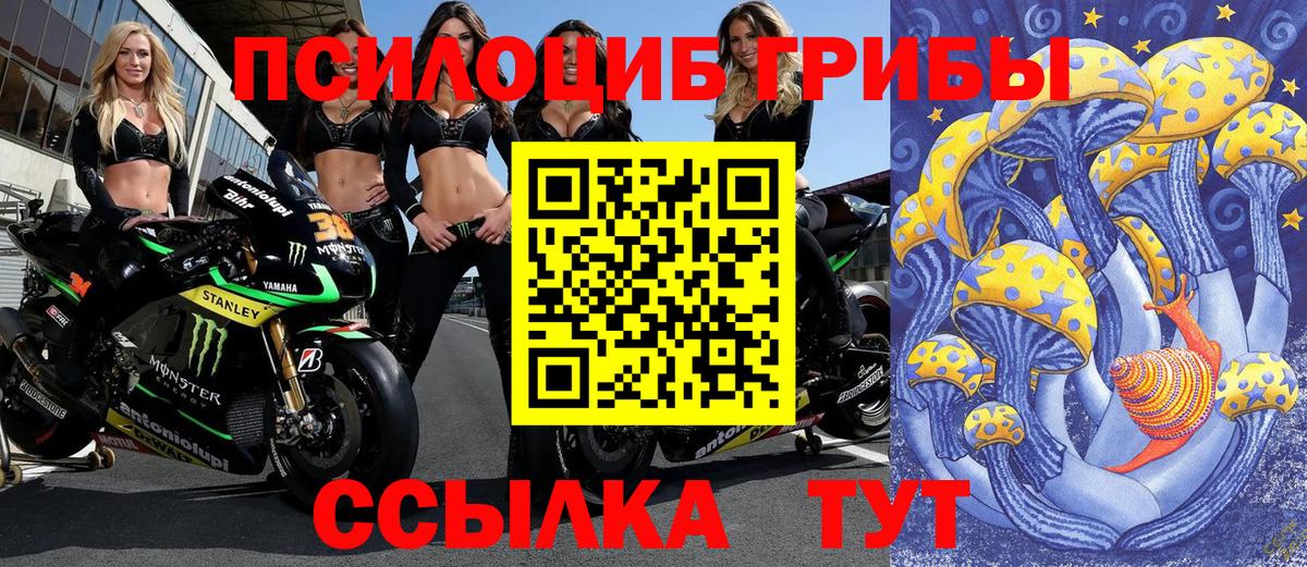 Галлюциногенные грибы Magic Shrooms Большой Камень