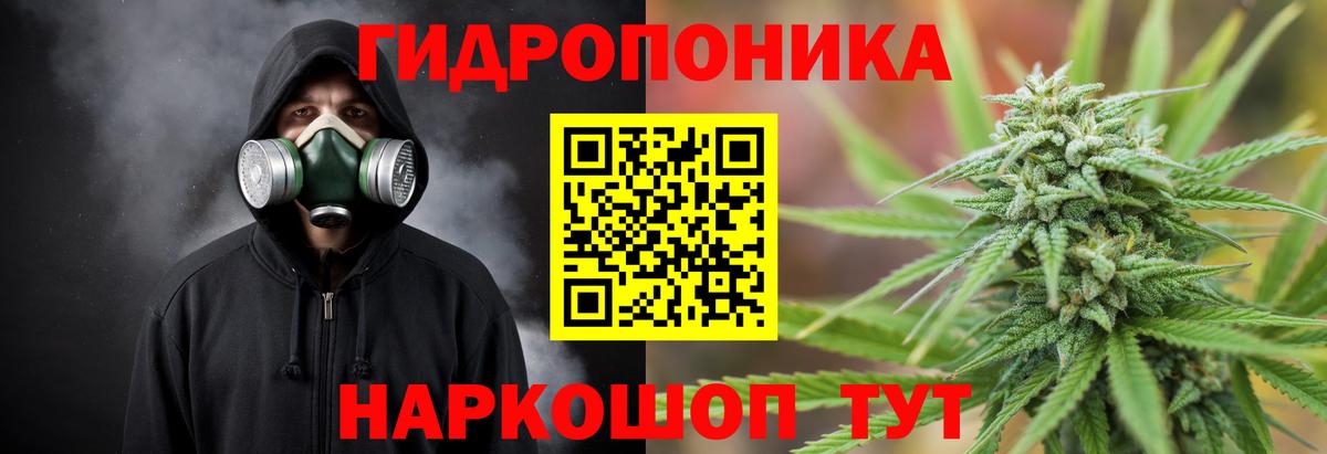 Бошки Шишки конопля Большой Камень